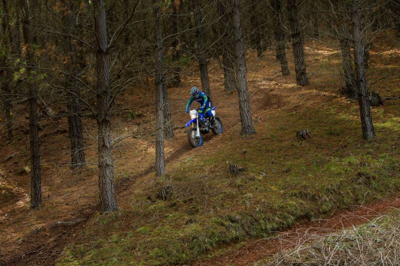 2020_yam_wr250f_eu_dpbse_act_007_03-71087.jpg