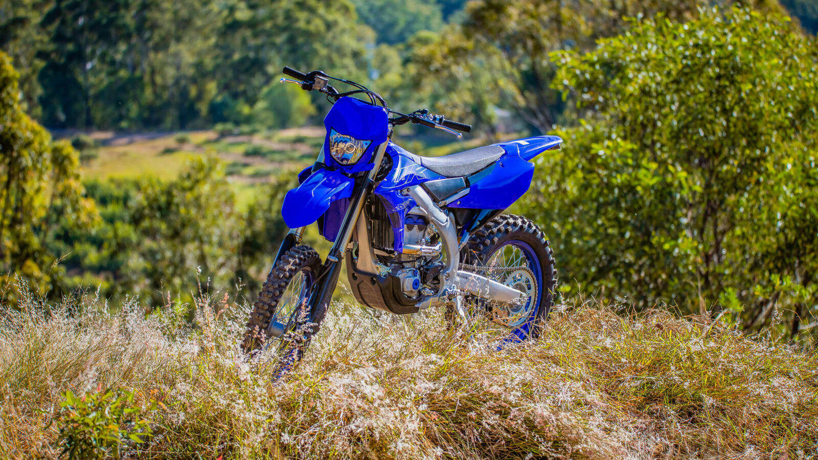 2022_YAM_WR250F_EU_DPBSE_STA_003_03_preview.jpg