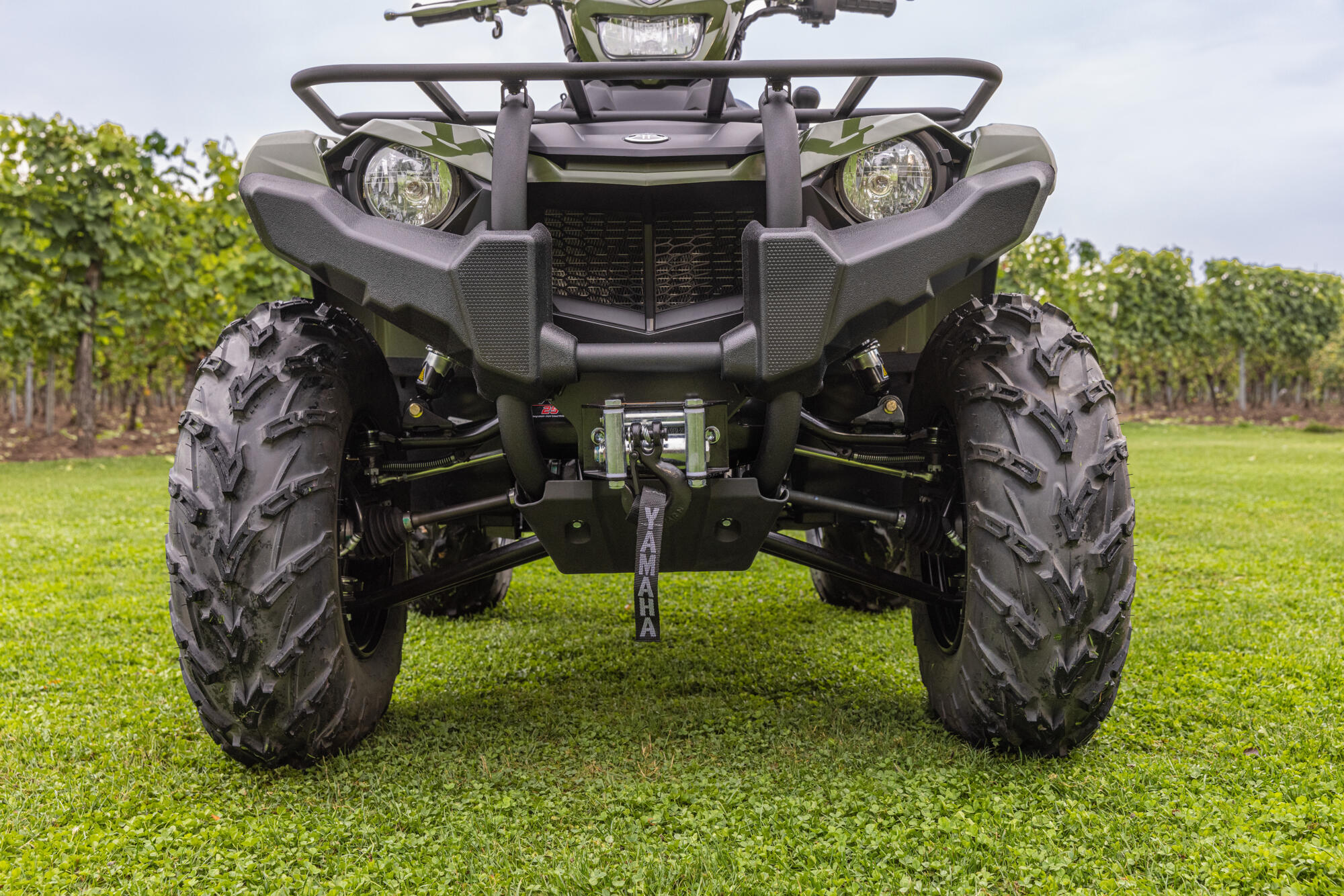 Kodiak 450 EPS Diff-lock T3A — imagine 10