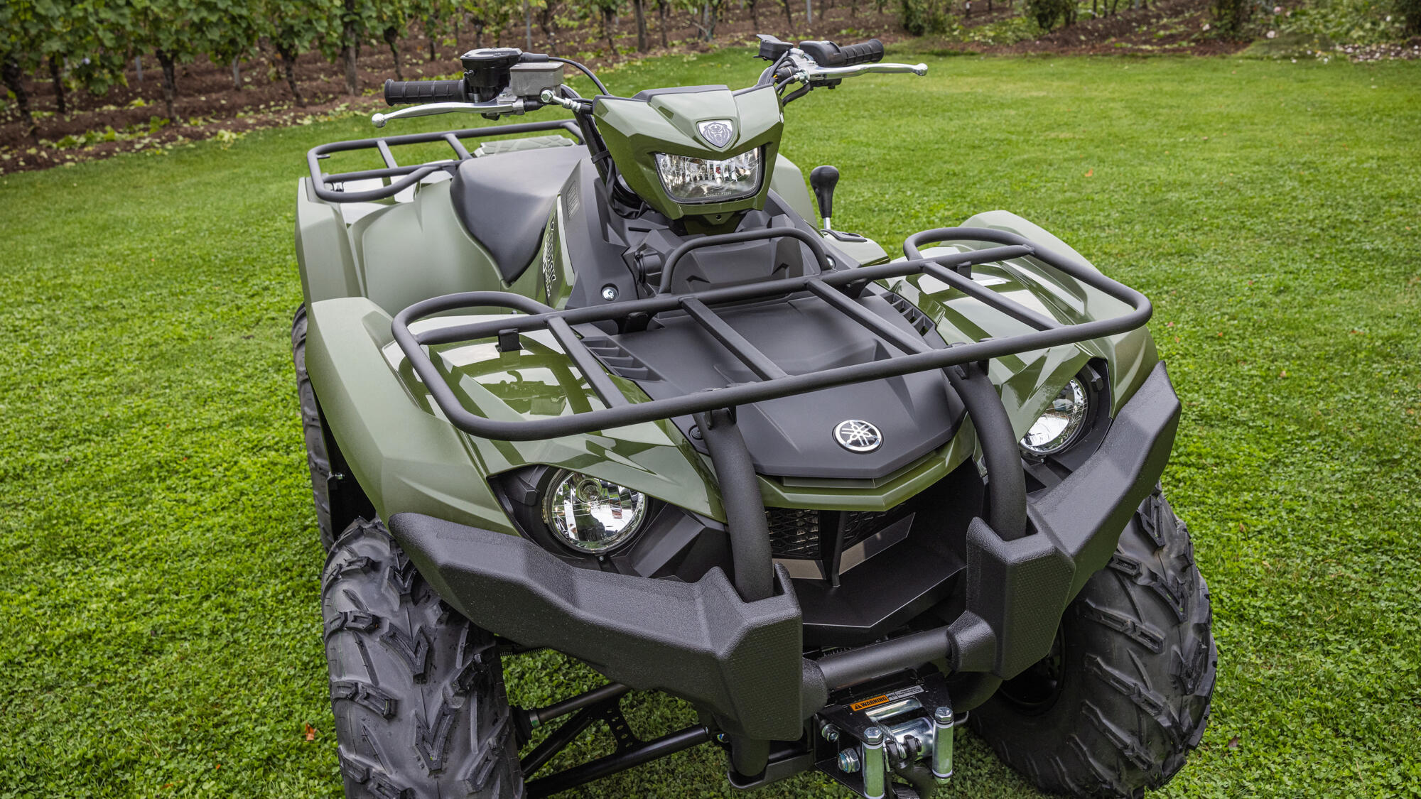 Kodiak 450 EPS Diff-lock T3A — imagine 15