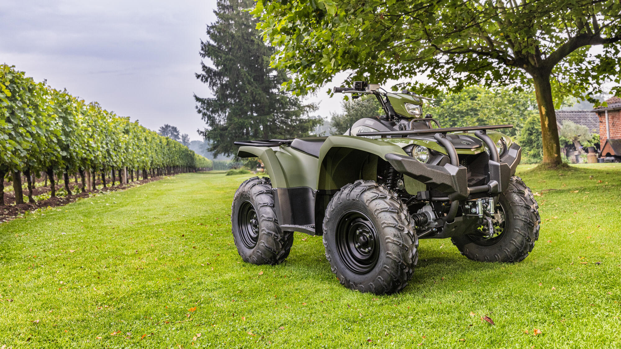 Kodiak 450 EPS Diff-lock T3A — imagine 18