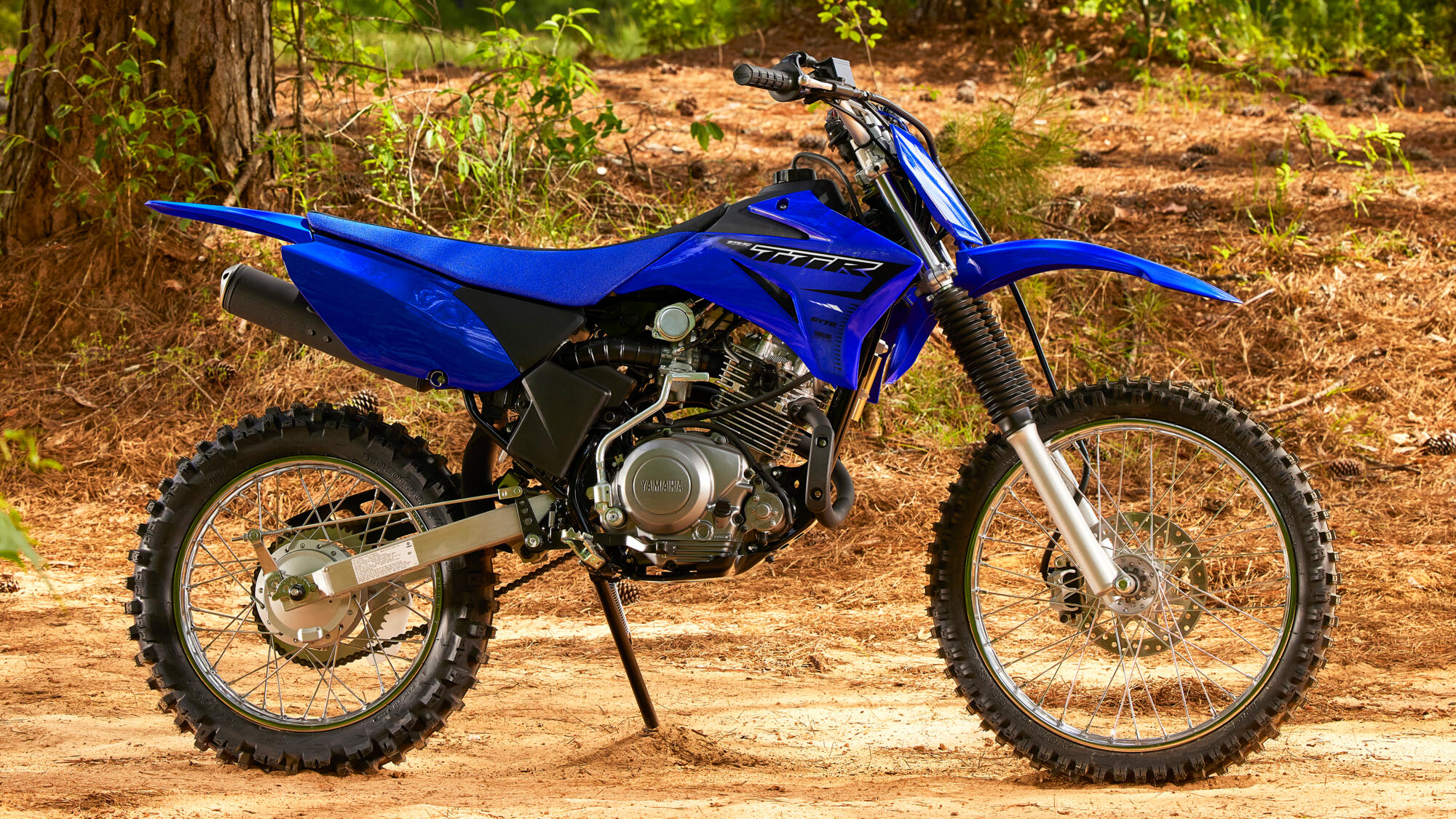 TT-R125 — imagine 18