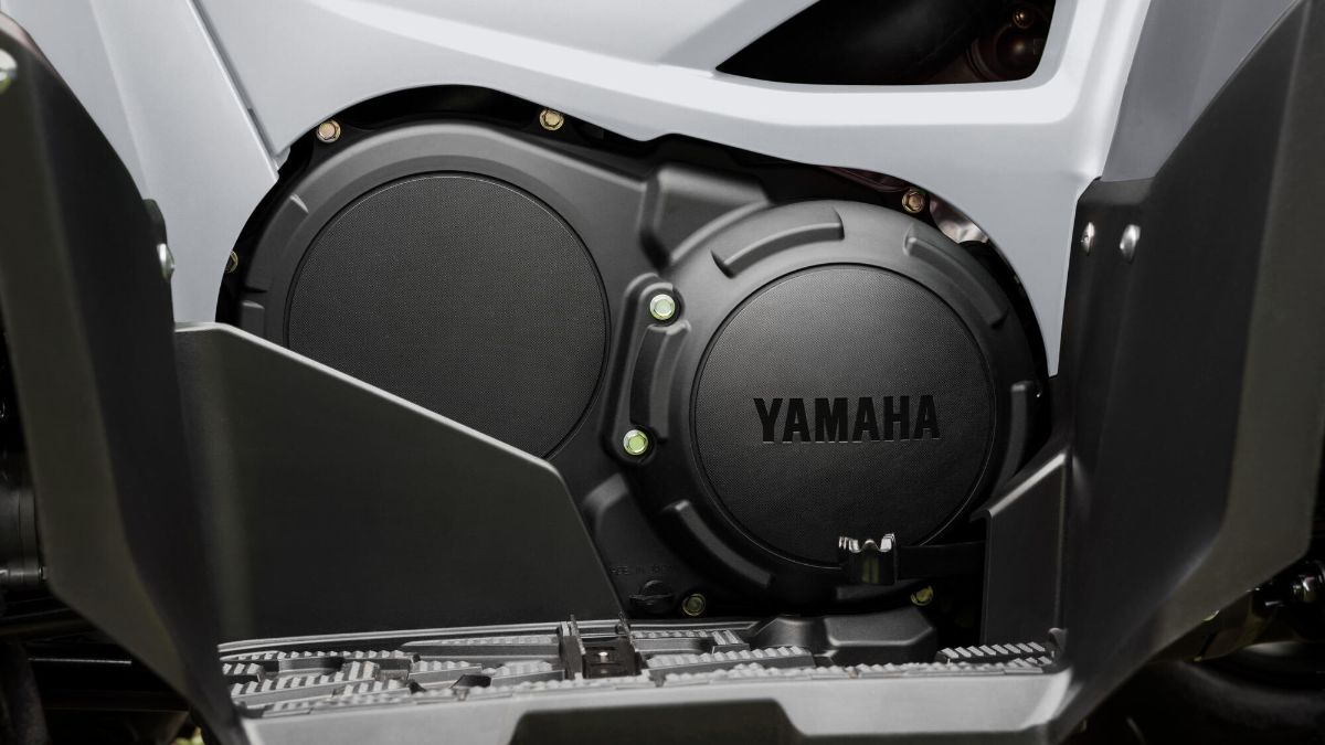 Grizzly 700 EPS — imagine 4