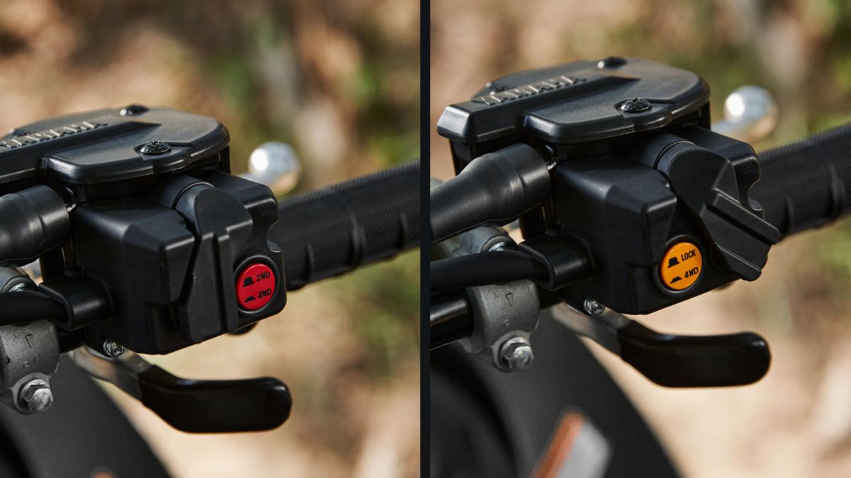 Grizzly 700 EPS — imagine 6