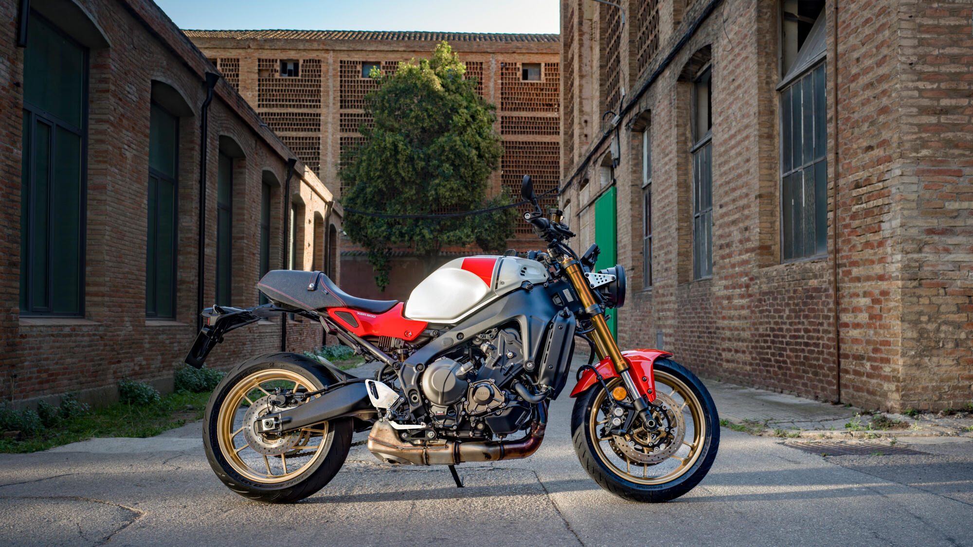 XSR900 — imagine 7