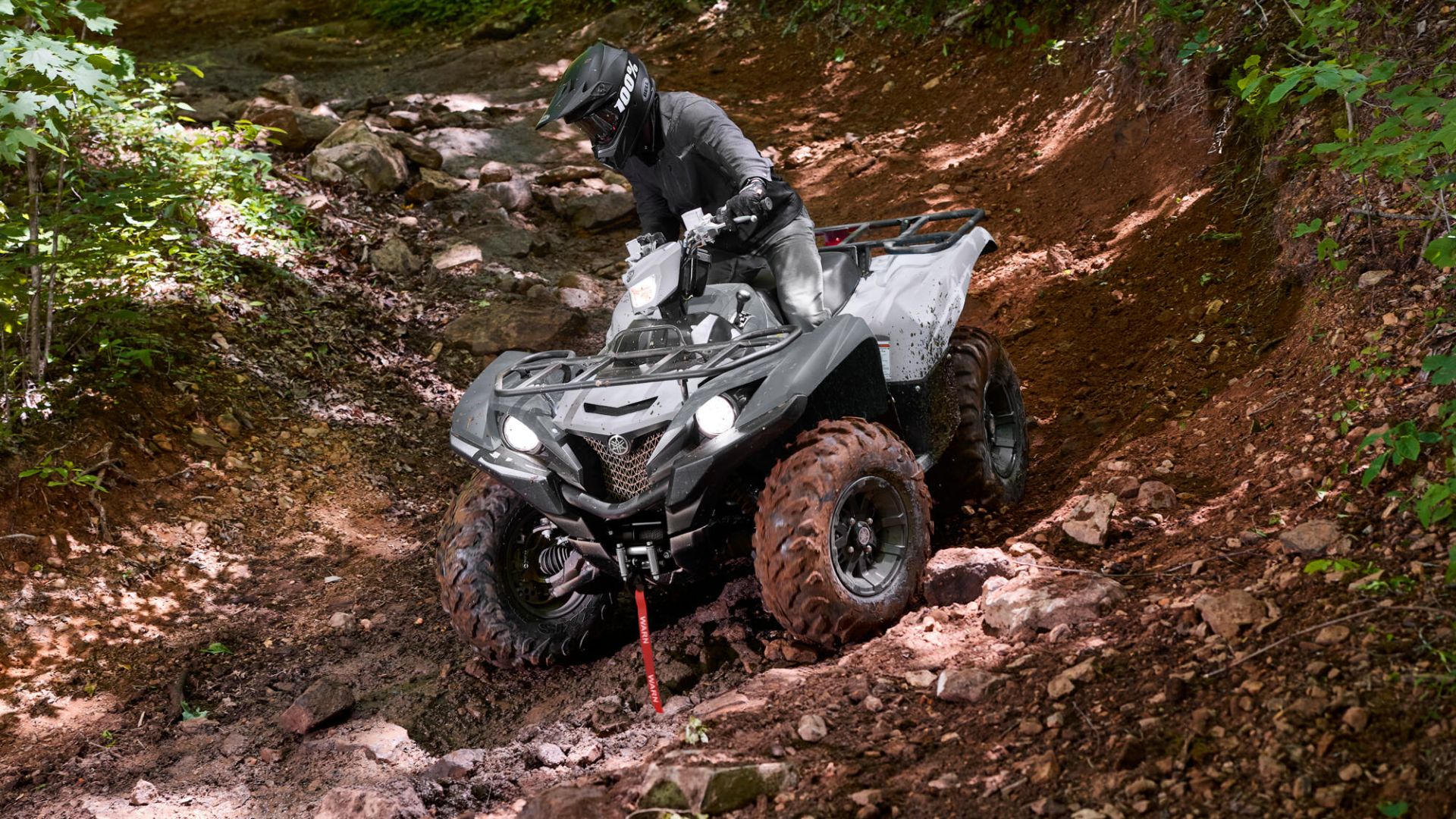 Grizzly 700 EPS — imagine 1