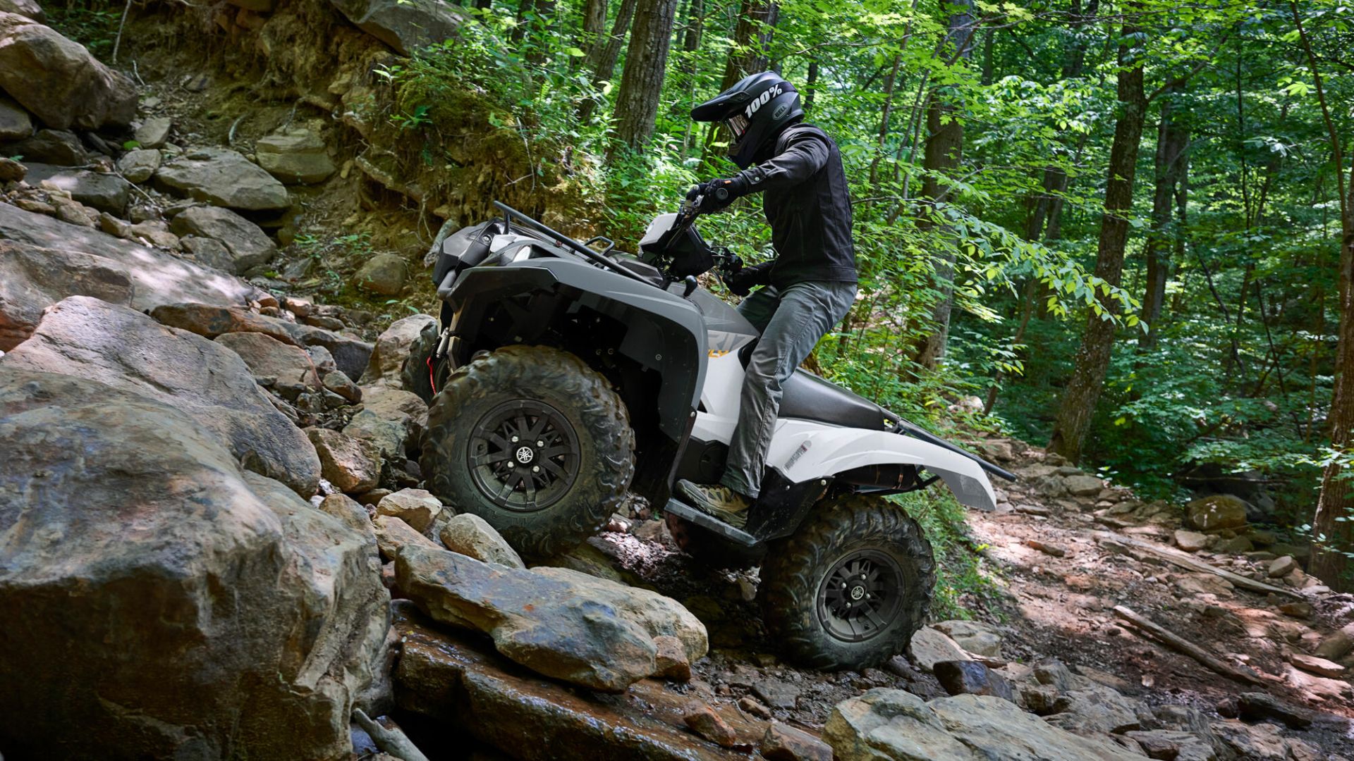Grizzly 700 EPS — imagine 2