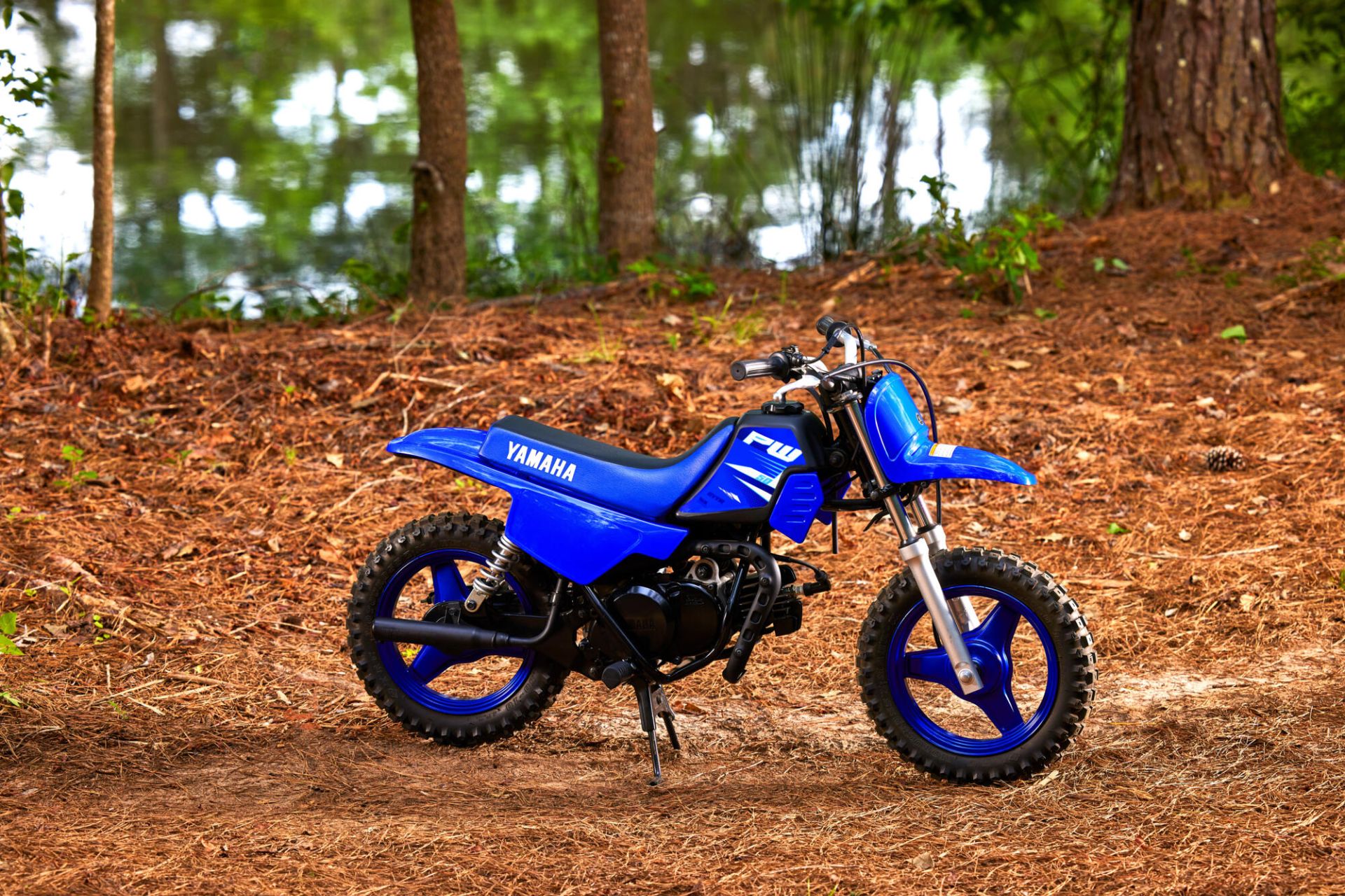 PW50 — imagine 4