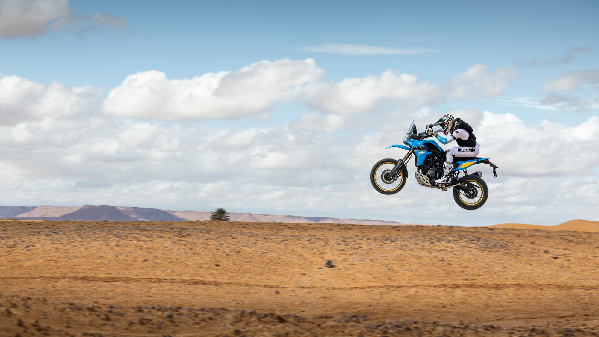 Ténéré 700 Rally — imagine 18