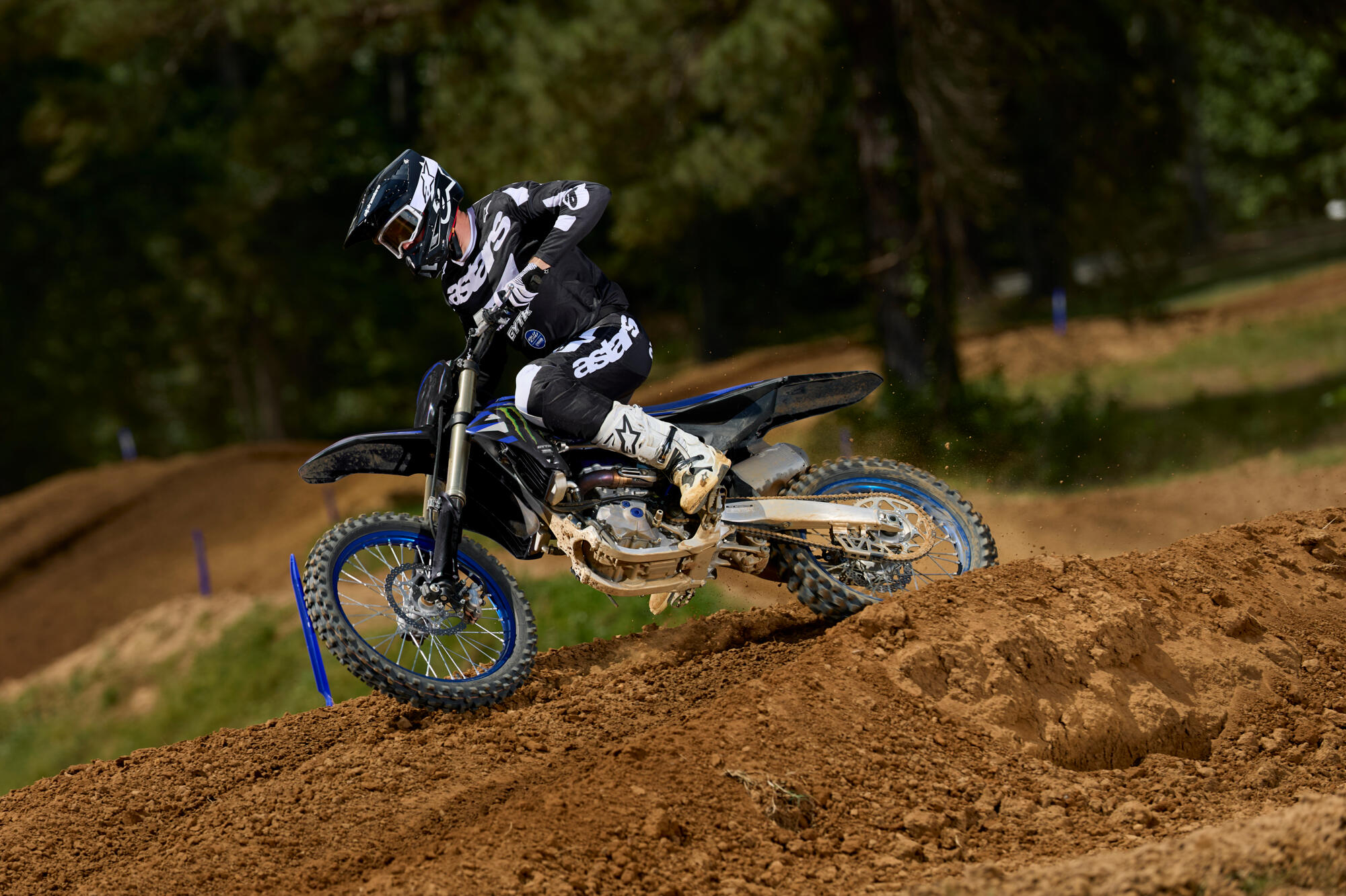 YZ450F Monster Energy Yamaha Racing Edition — imagine 15